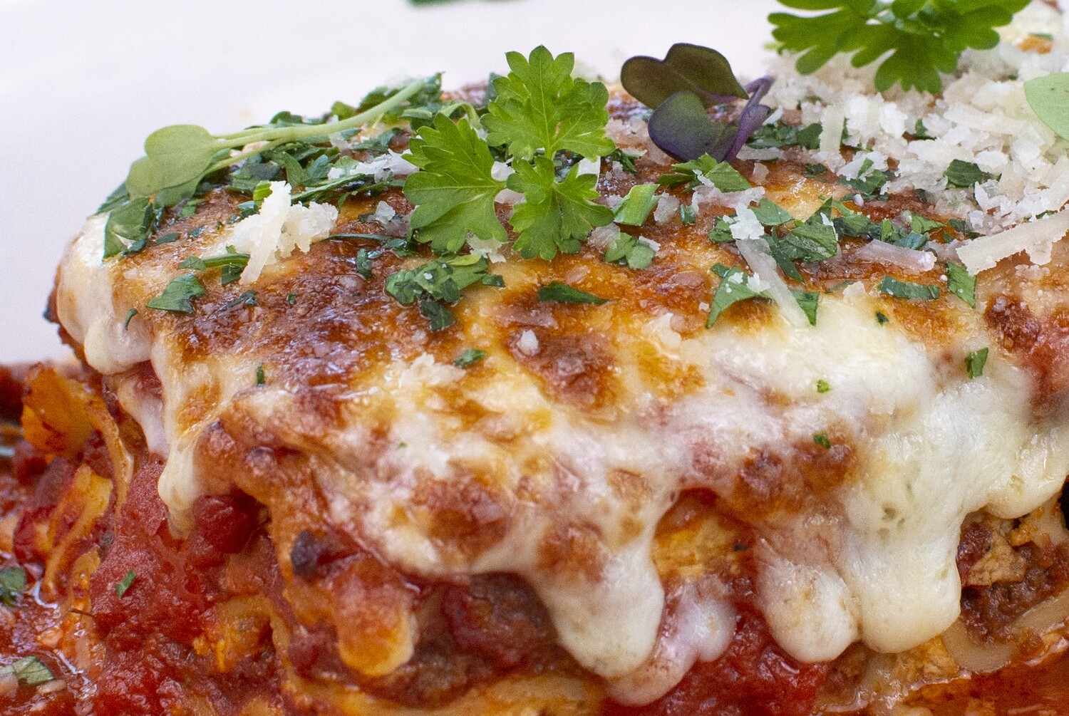 Lasagna Tray