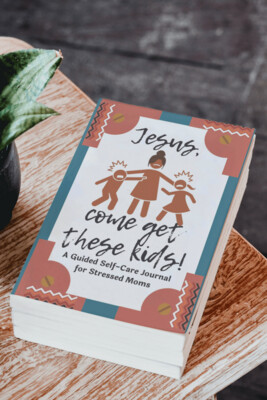 Jesus, Come Get These Kids Guided Self-Care Journal