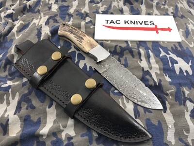 Damascus Skinner Knife With Antler Handle 