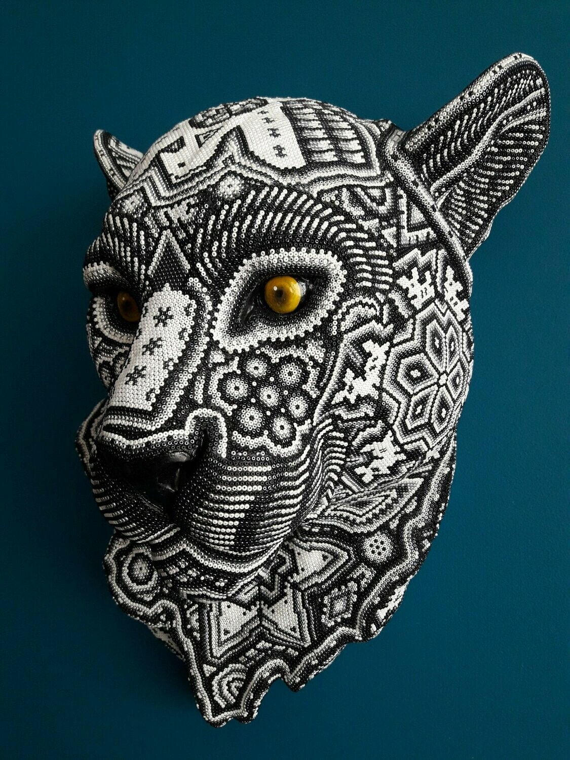 "Mex Cougar"