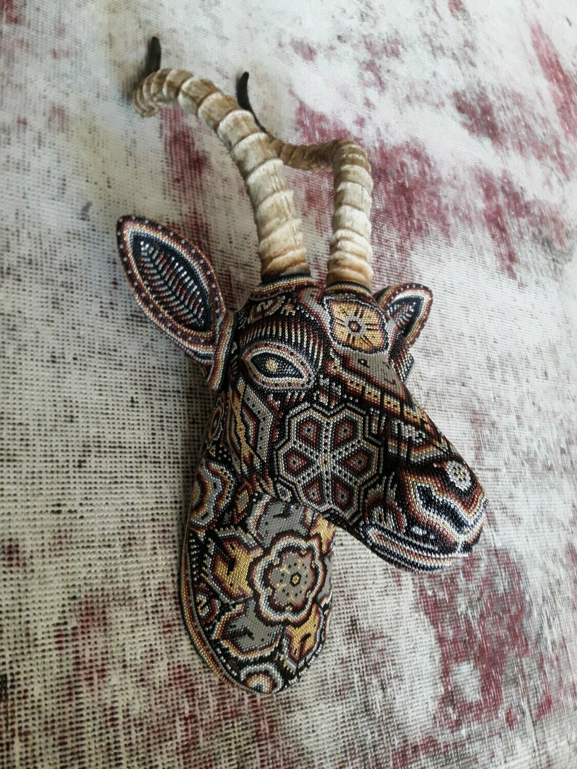 "African Antelope"