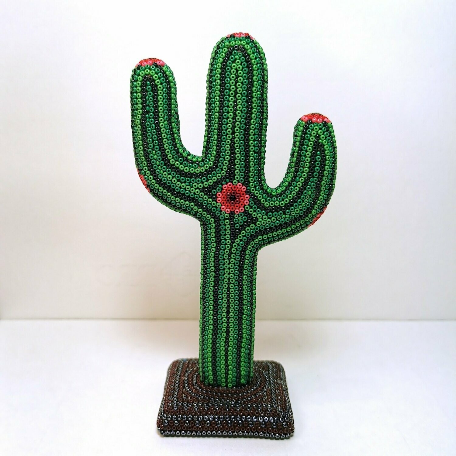 "Cactus mini"