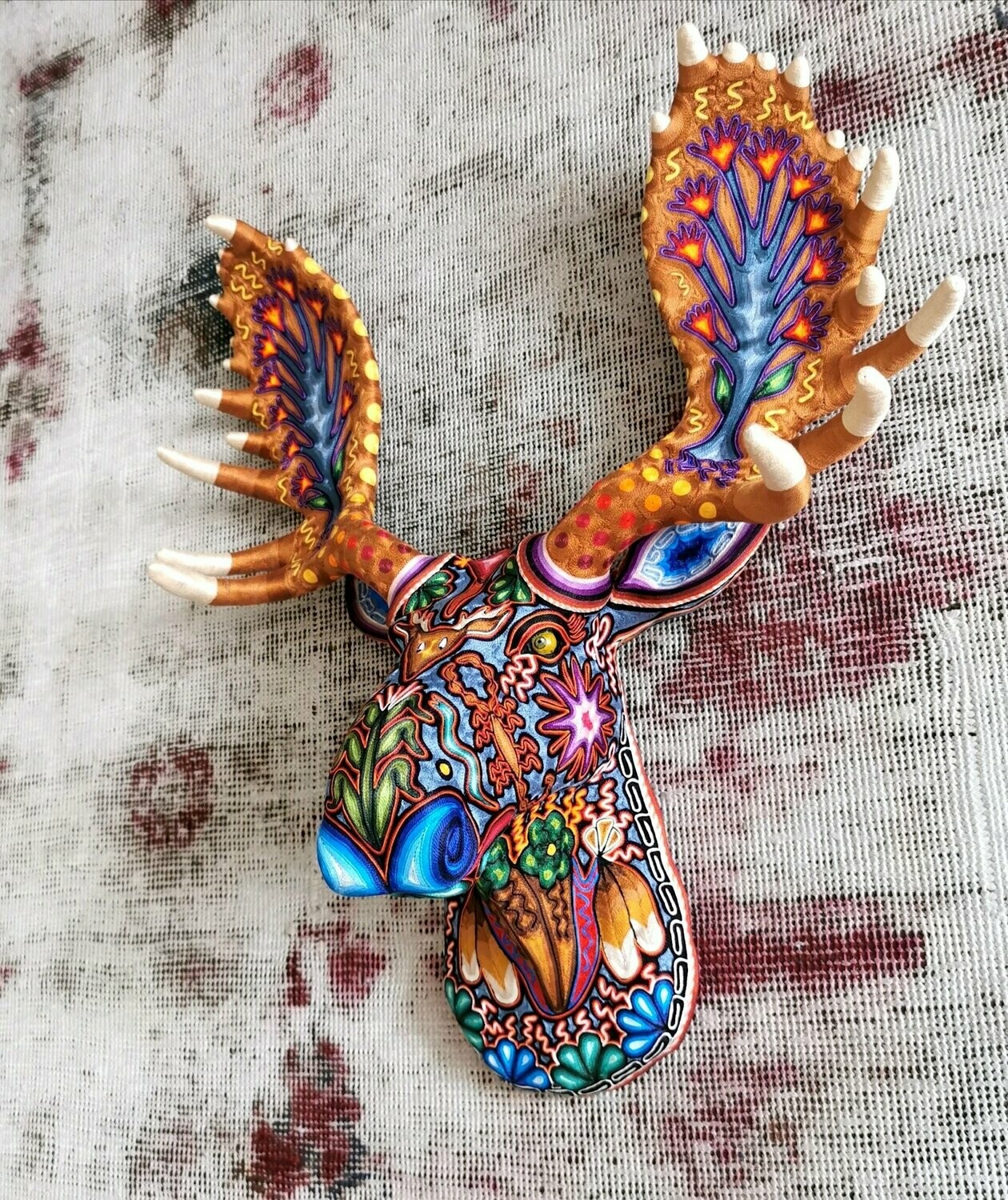 "Crazy Moose"