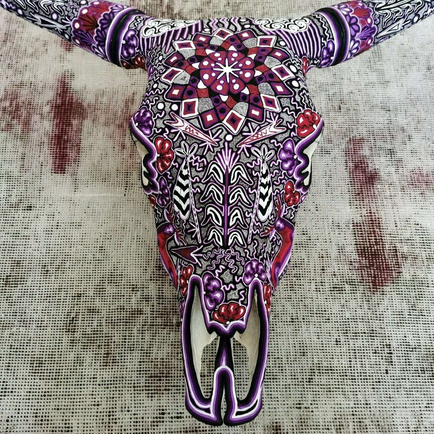 Cráneo de vaca