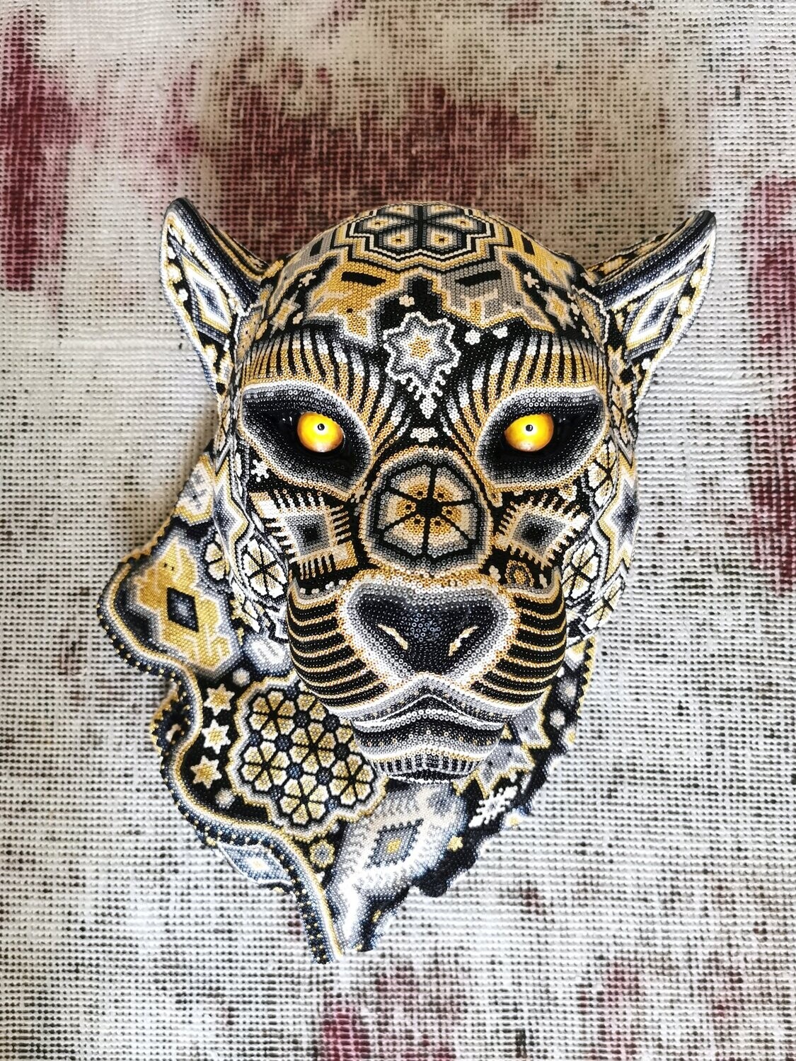 "Golden Cougar"