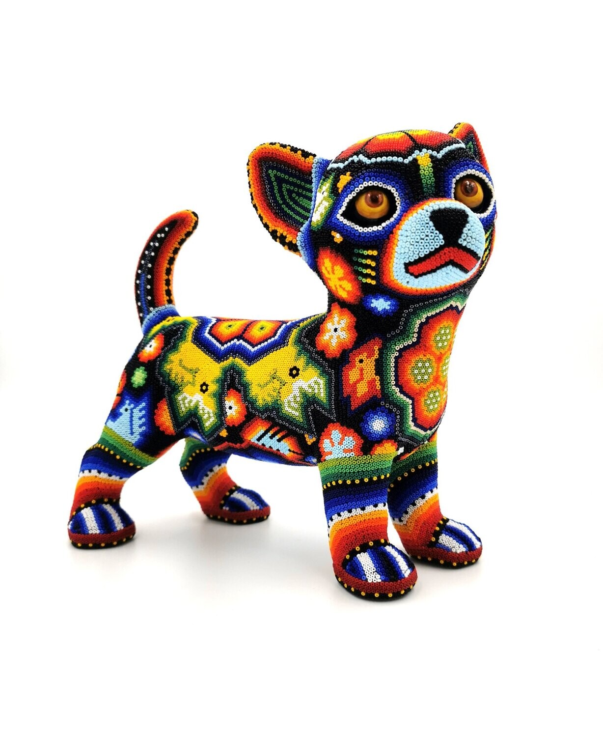 "Little Chihuahua"