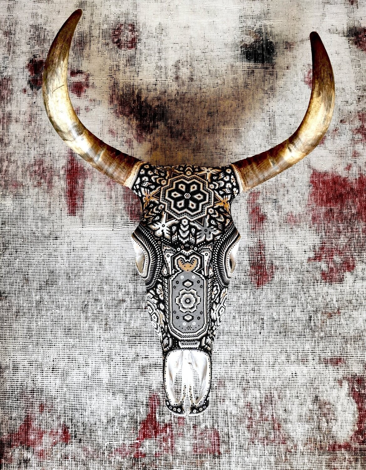 "Golden Black Cow Skull"