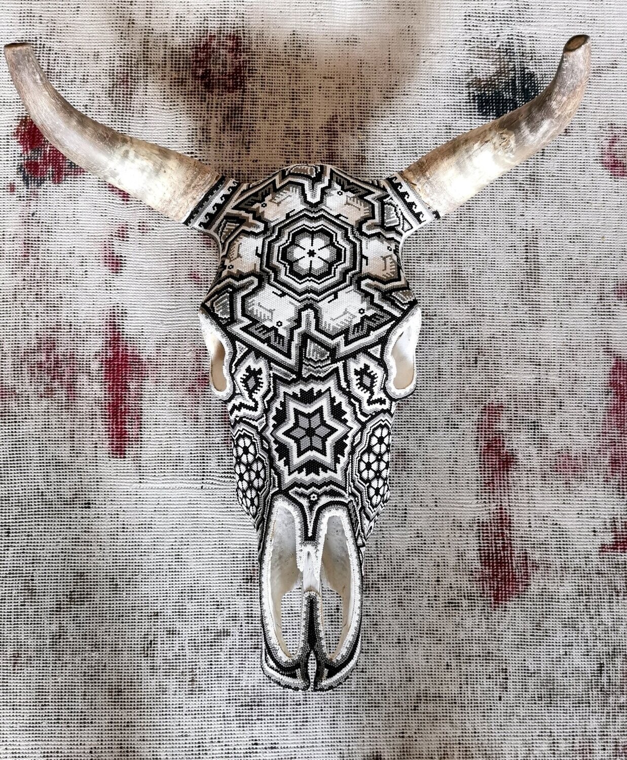 "Gray Cow Skull"