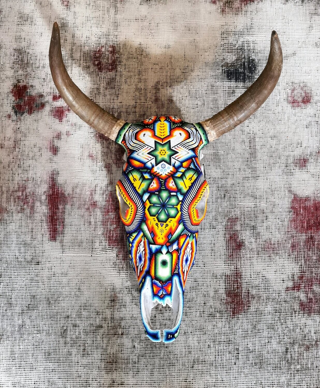 "Wixárika Cow Skull"