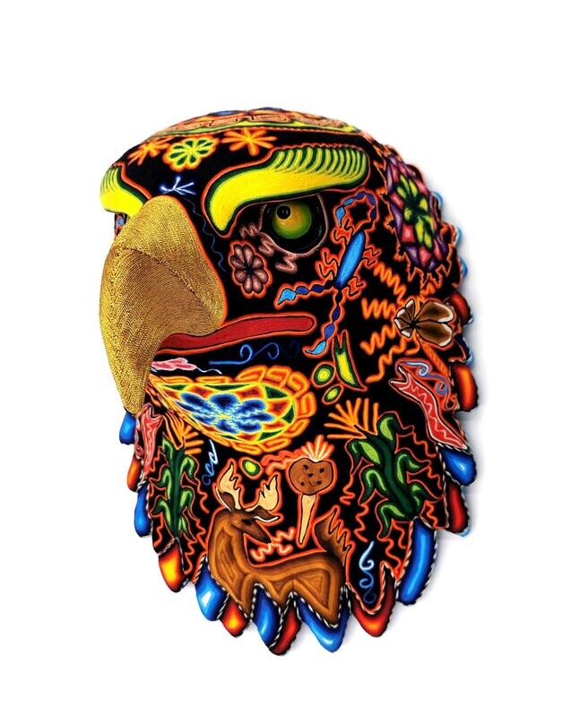 "African Eagle"