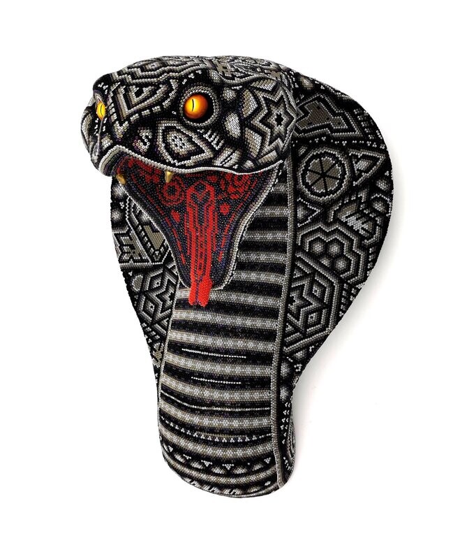 "Silver King Cobra"