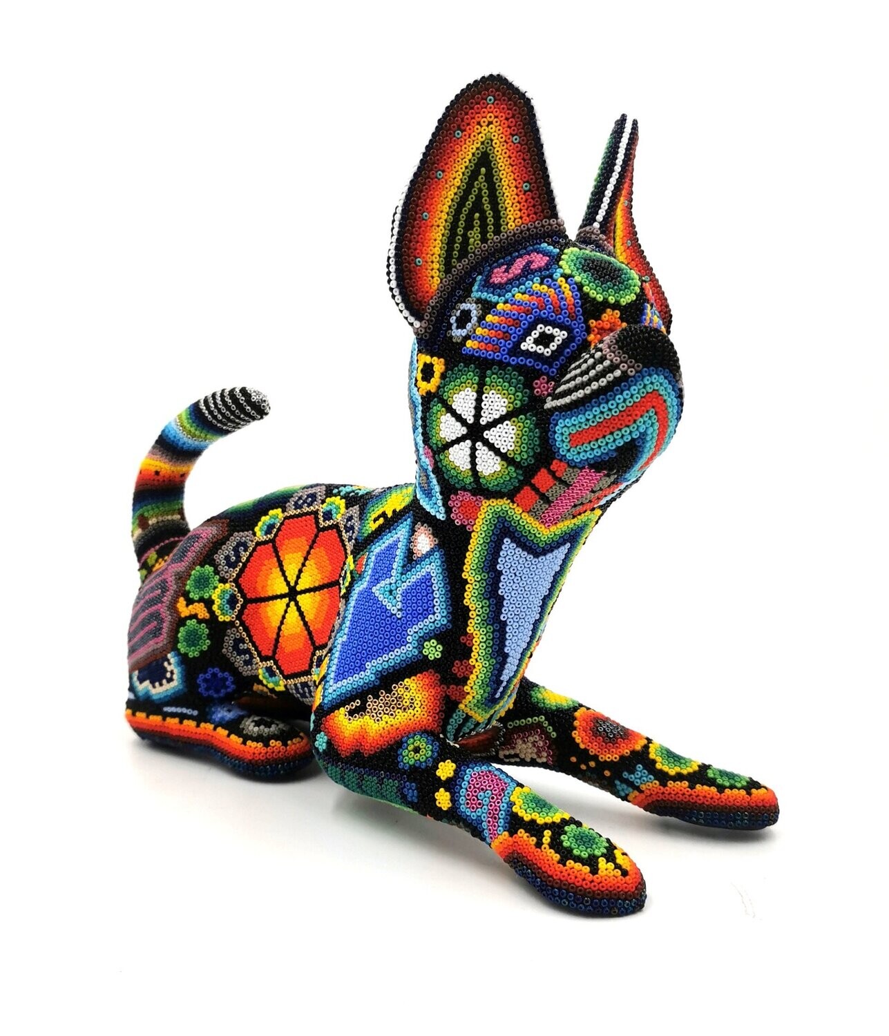 "Wixárika Chihuahua"