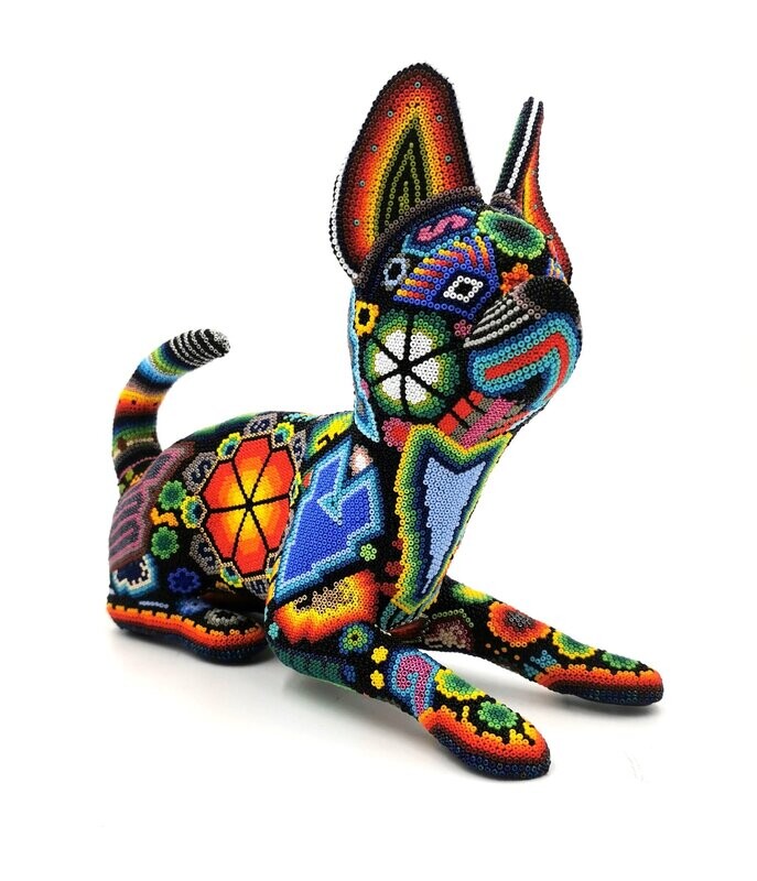"Wixárika Chihuahua"