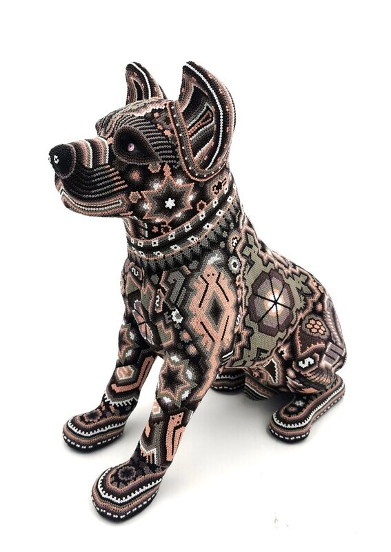 "Purple Dog"