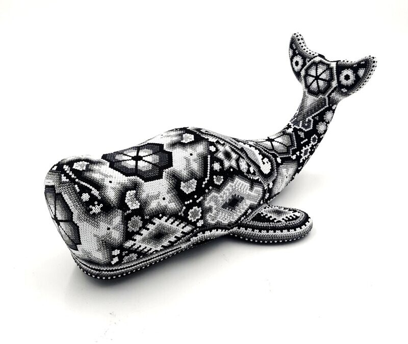 "Moby Dick"