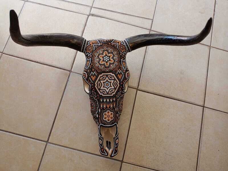 "Cooper Cow Skull"