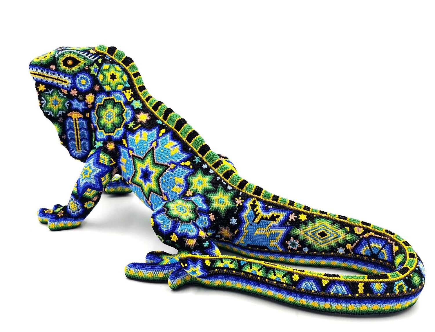 "Amazon Iguana"