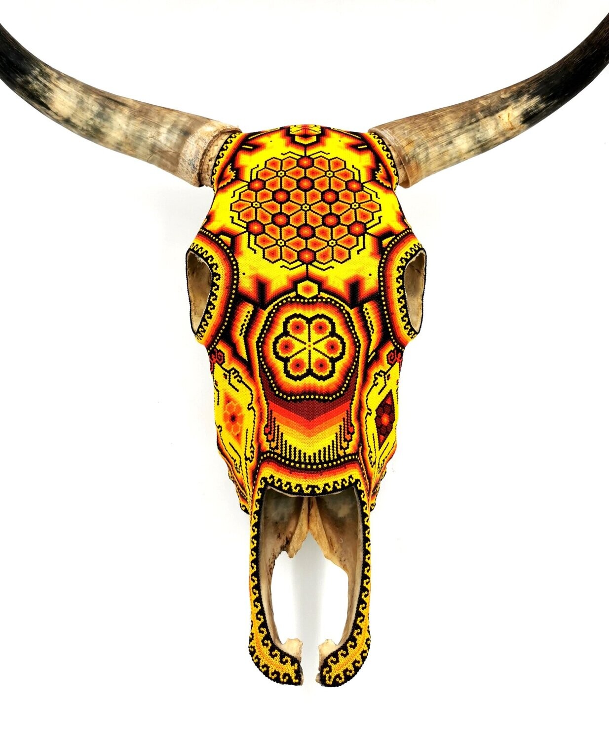 "Spanish Cow Skull"