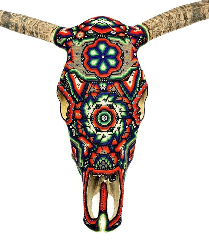 "Gambian Cow Skull"