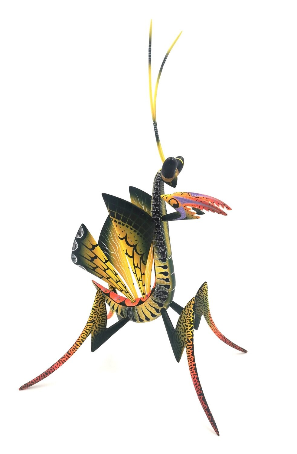 "Mantis Zapoteca"