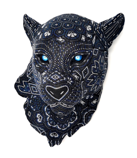 "Steel Blue Jaguar"