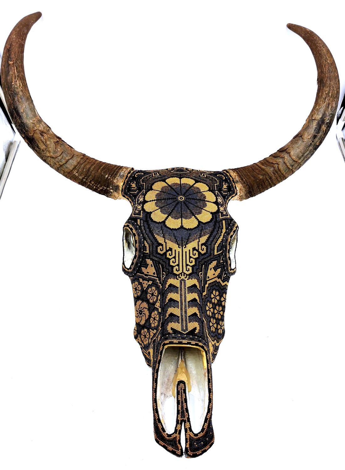 "Golden Blue Cow Skull"