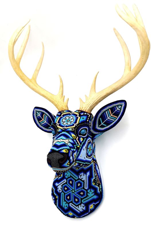 "Blue Deer"