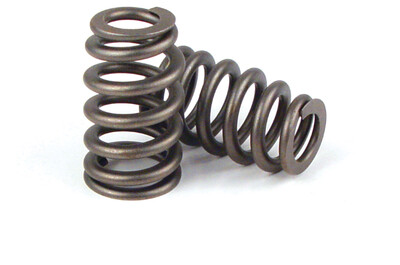 VALVE SPRINGS