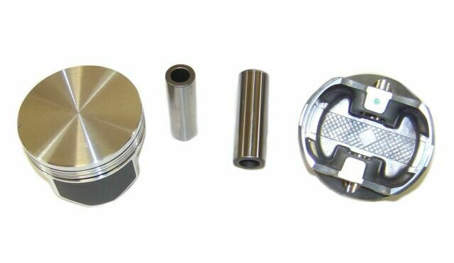 DNJ Piston Set