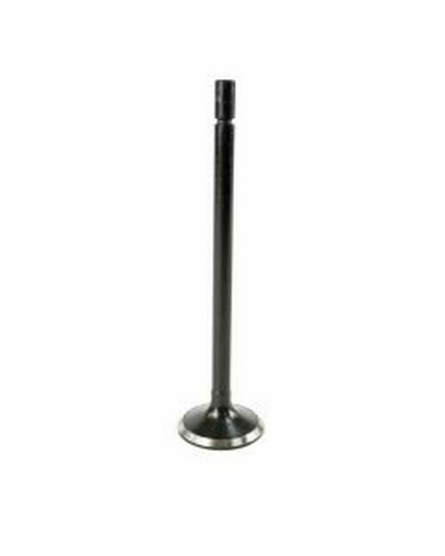 DNJ Intake Valve
