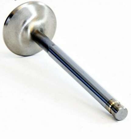 DNJ Exhaust Valve 5.9