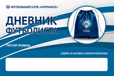 Дневник футболиста образец