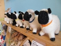 Wool