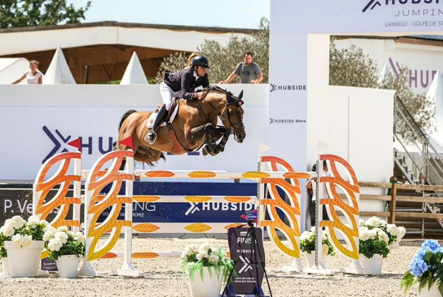 Lord Pezi Junior ( Lord Pezi x Quattro B x Alme ) Lord Pezi Junior ( Lord Pezi x Quattro B x Alme )
