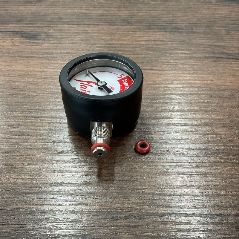 GAUGE FLAIR (normal)