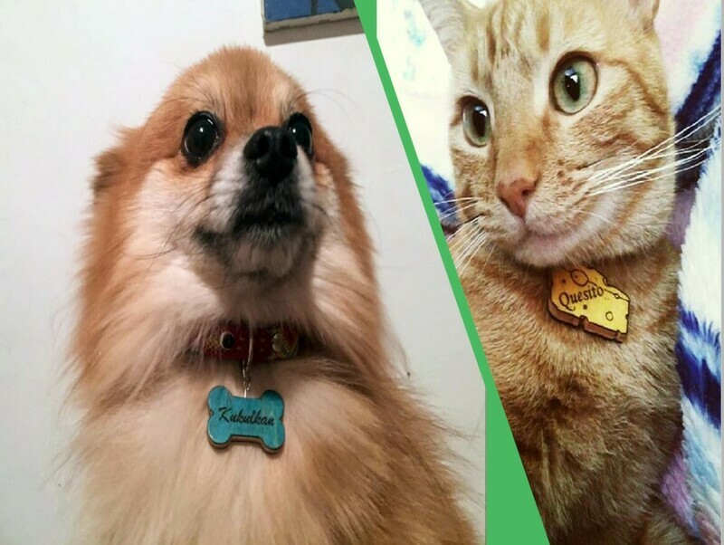 Placas personalizadas para mascota