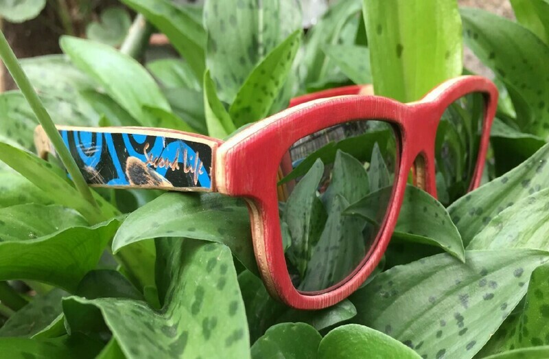 Lentes de Sol
