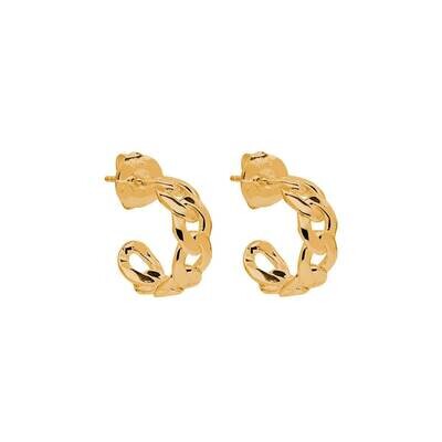 Najo - Curb Small Yellow Gold Hoop Earring