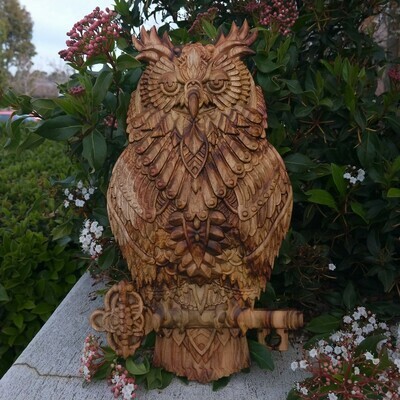 Camphor Laurel Owl perched on a key