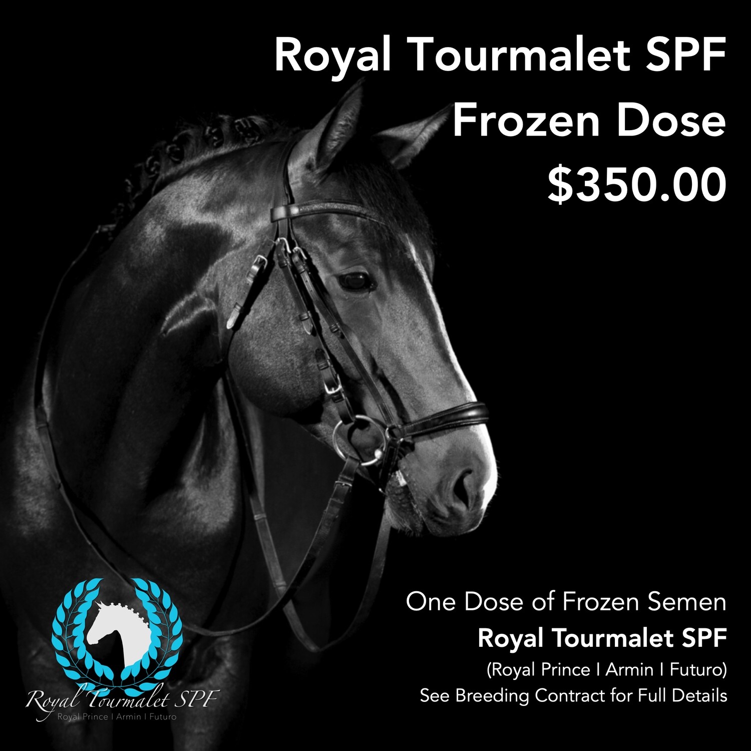 One Dose Frozen Semen