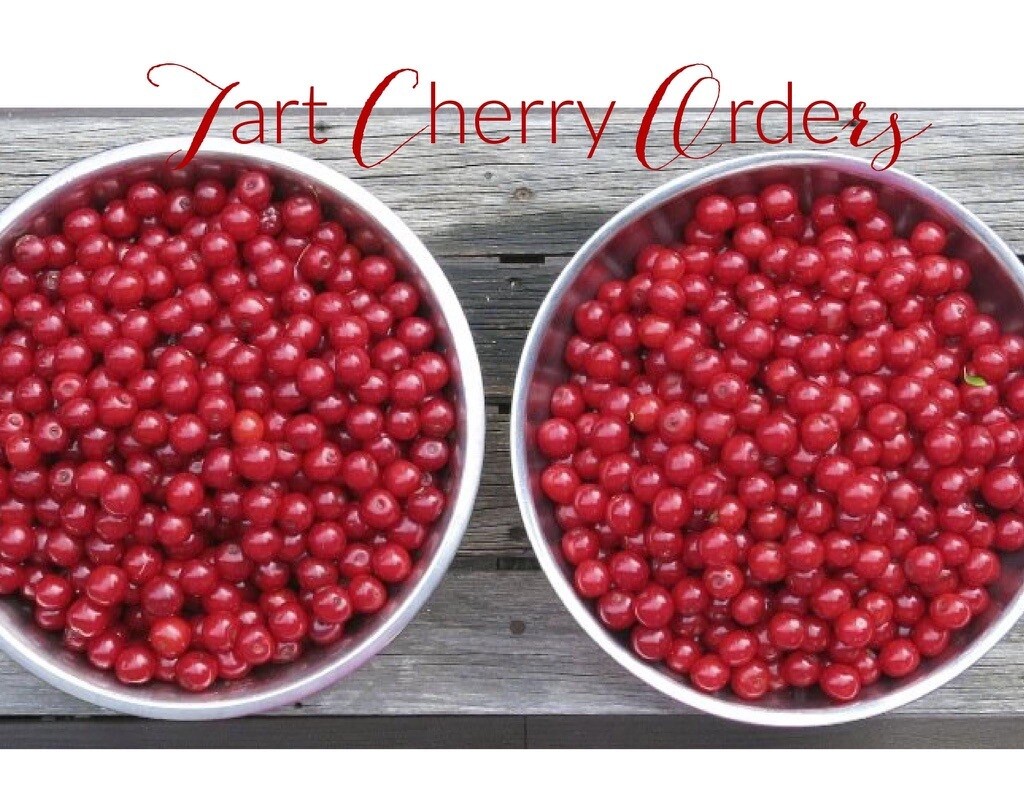 A 10 Lb Tub Of Tart Cherries ONLINE PREORDER