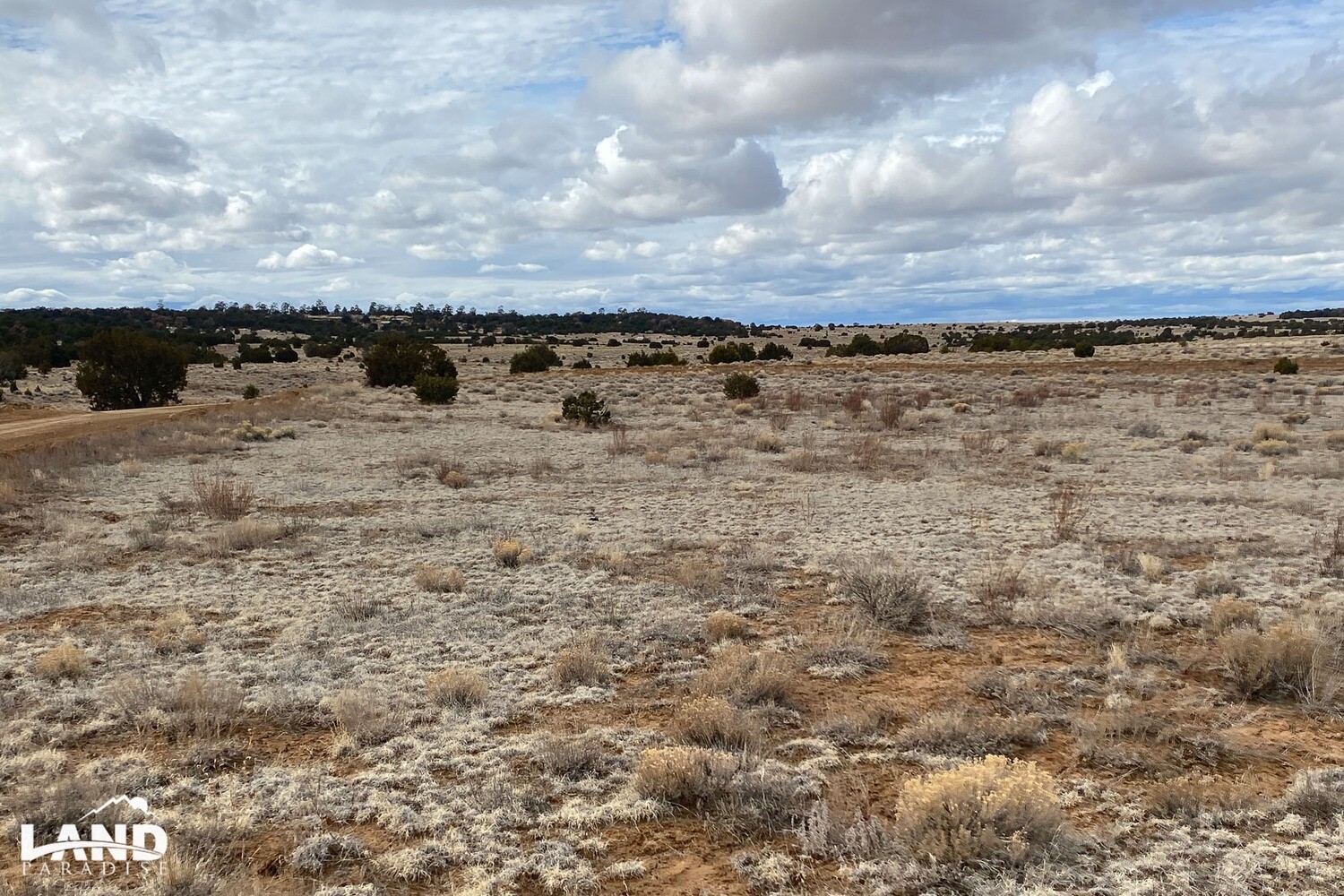Wagontrail - Cibola, NM