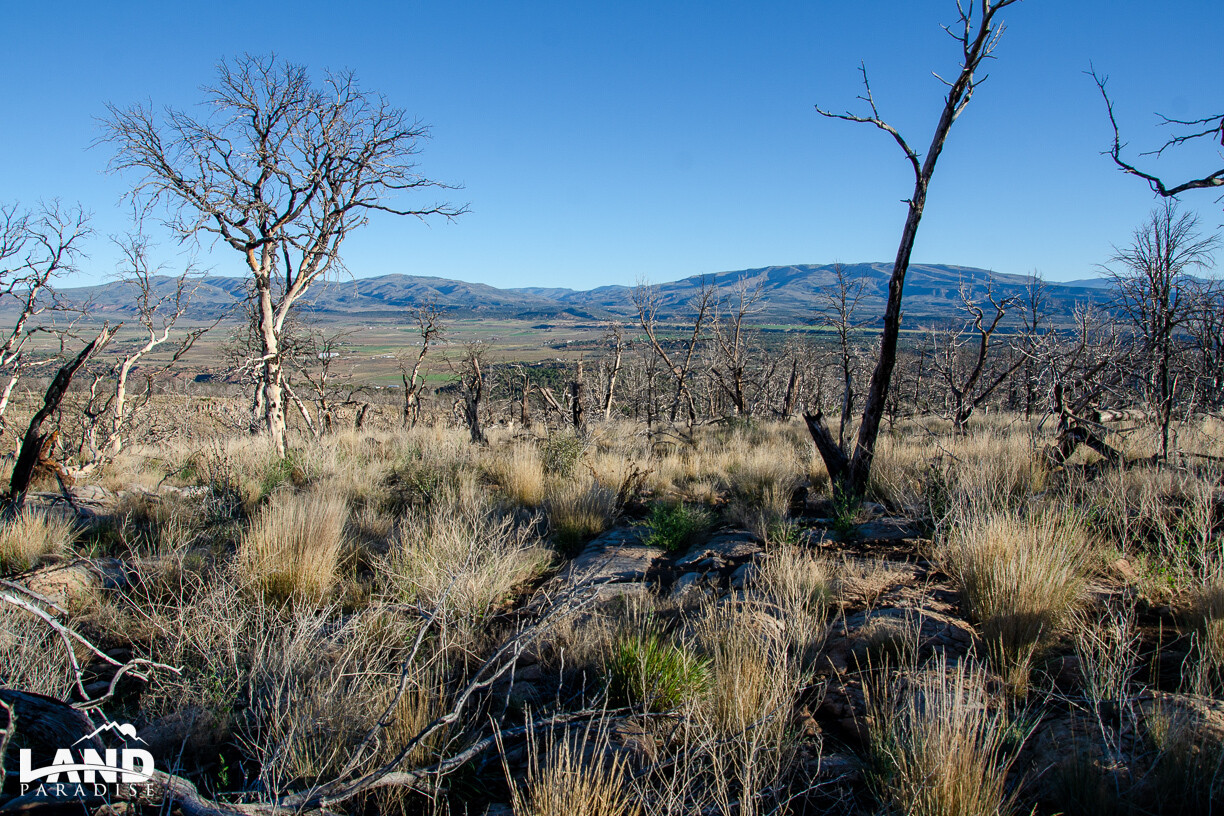 Mountain - Duchesne, UT (PROCESSING FEE ONLY)