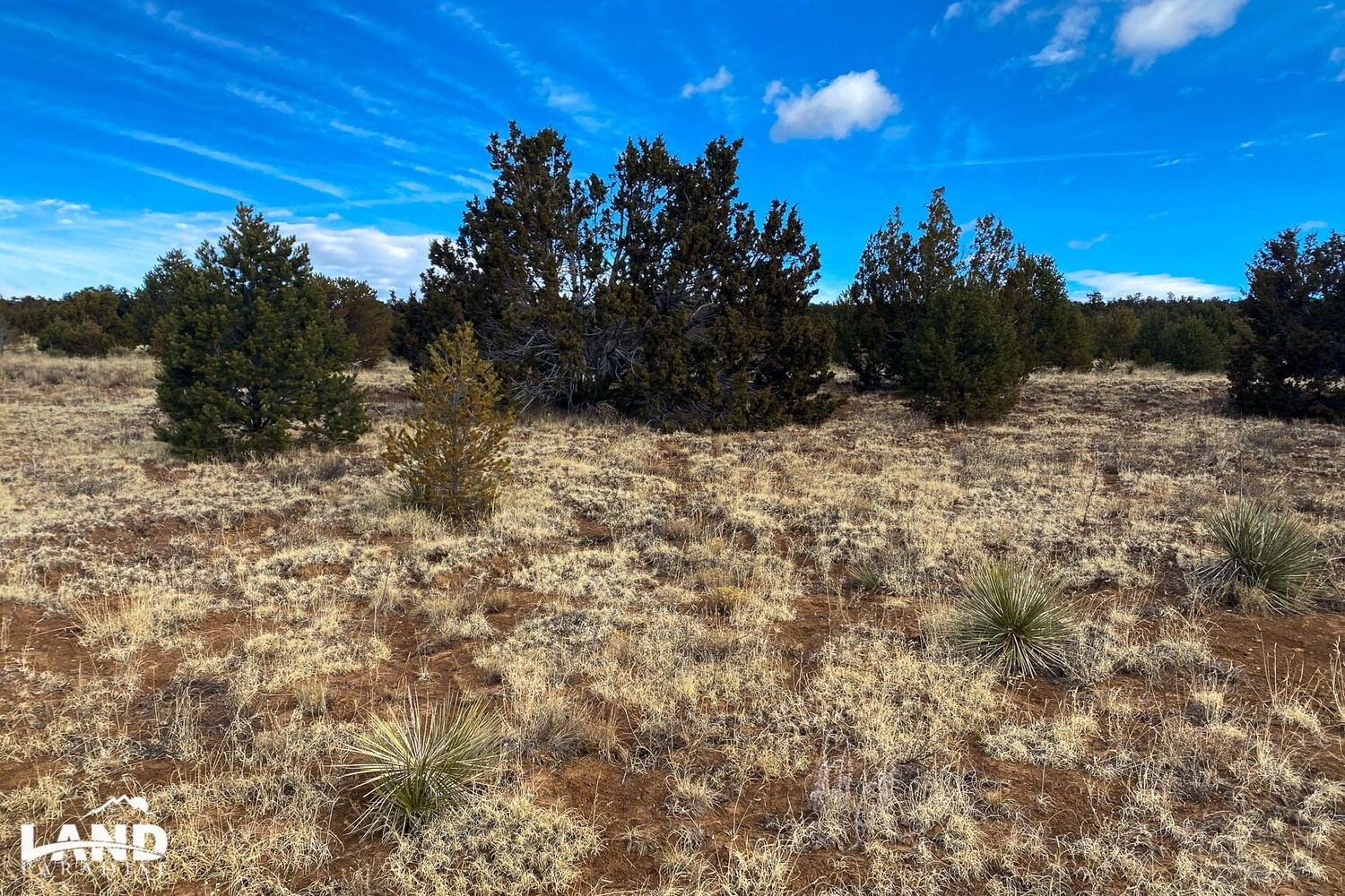 Mora 1 - Bernalillo, NM