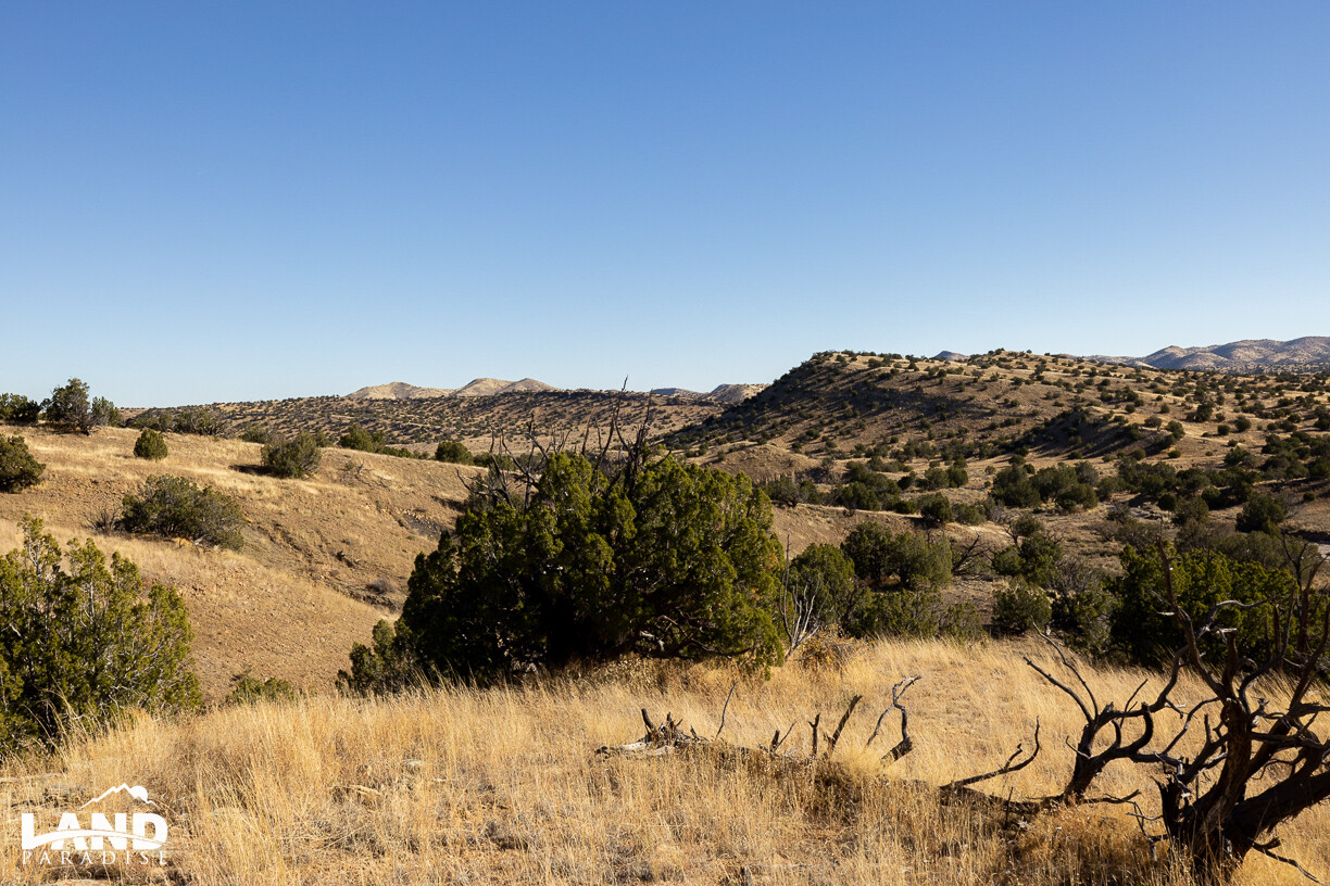 Williams - Socorro, NM (PROCESSING FEE ONLY)