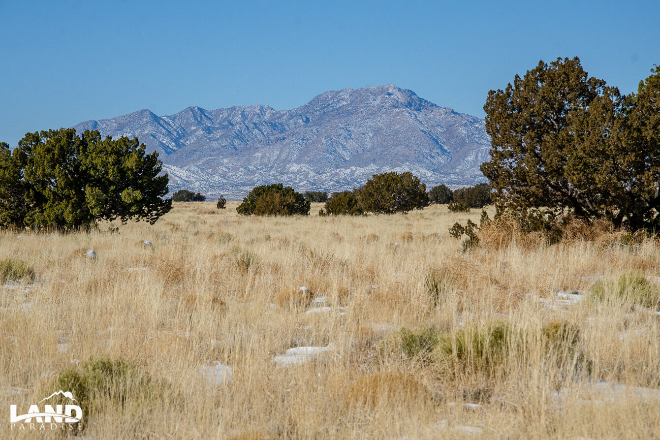 Pueblo 98 - Socorro, NM