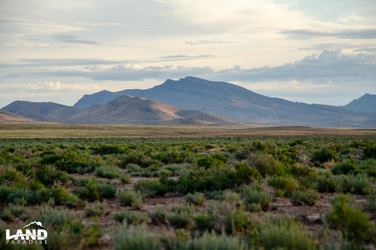 Frisco - Millard, UT (PROCESSING FEE ONLY)