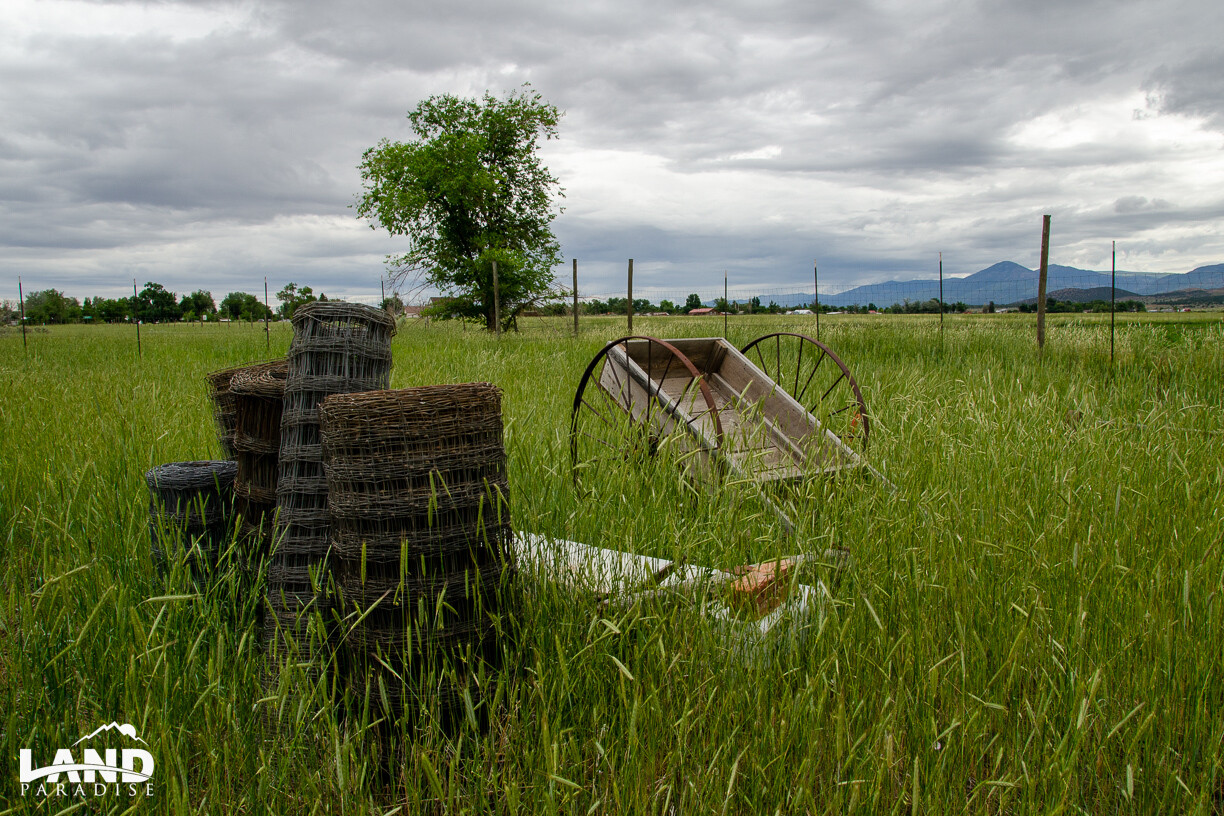 Meadow - Millard, UT (PROCESSING FEE ONLY)