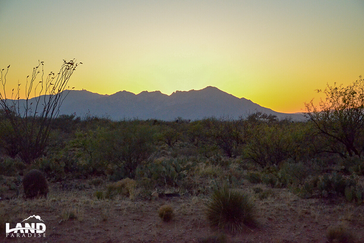 Cary 381 - Pima, AZ