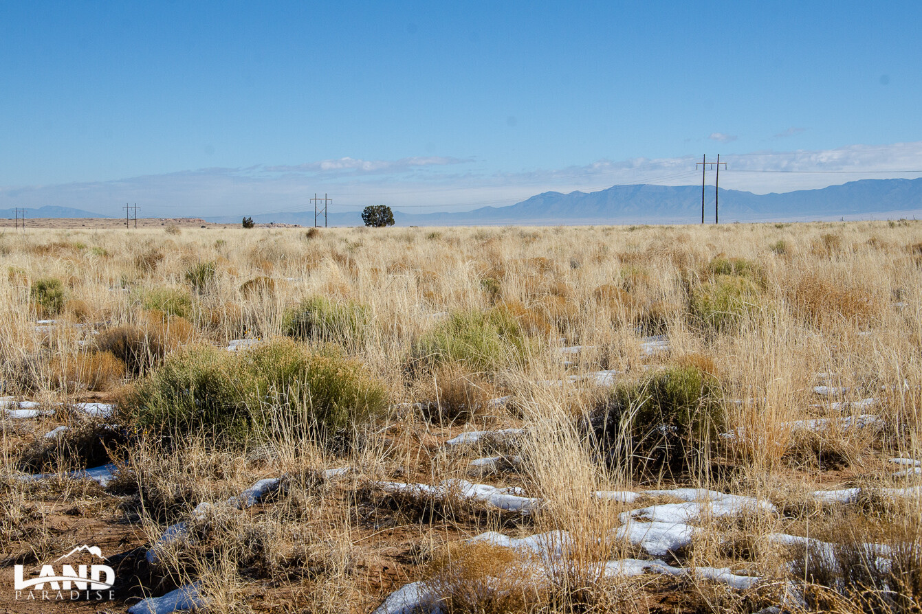 Bosque - Socorro, NM